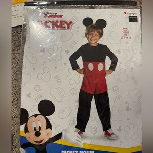 Mickey costume
